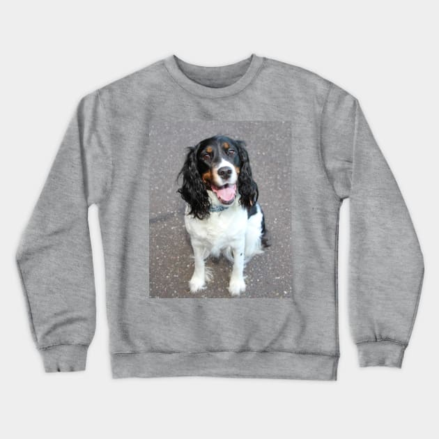 english springer spaniel black white tan sitting Crewneck Sweatshirt by Wanderingangel